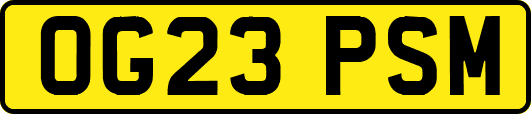 OG23PSM