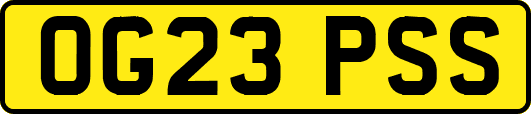 OG23PSS