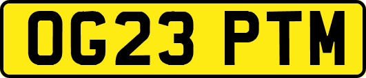OG23PTM