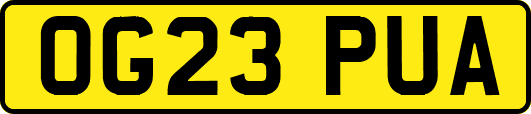 OG23PUA