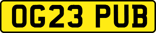OG23PUB