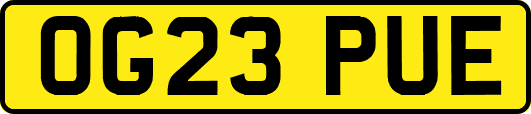 OG23PUE