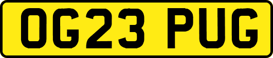 OG23PUG