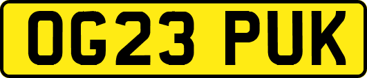 OG23PUK