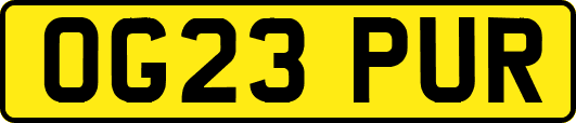 OG23PUR