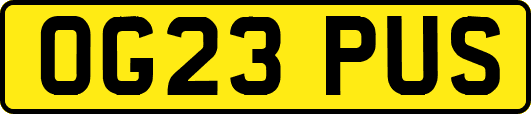 OG23PUS