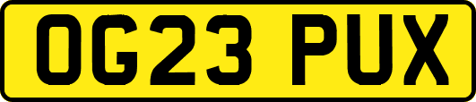 OG23PUX