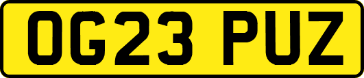 OG23PUZ