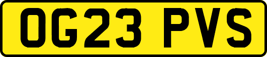 OG23PVS
