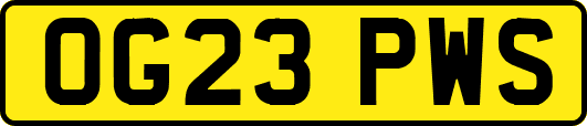 OG23PWS