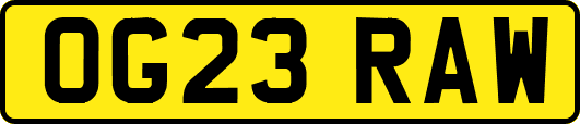 OG23RAW