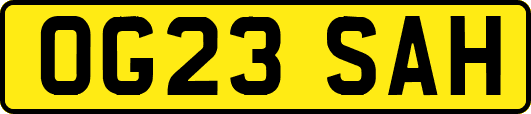 OG23SAH