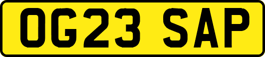OG23SAP