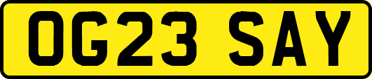 OG23SAY
