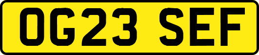 OG23SEF