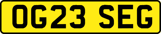 OG23SEG