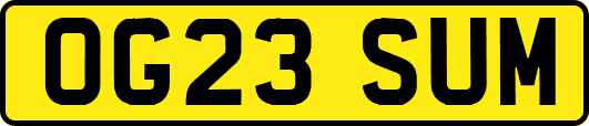 OG23SUM