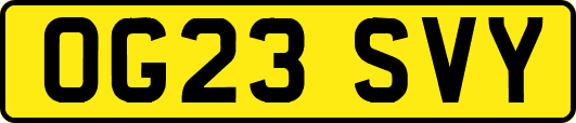 OG23SVY