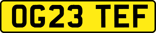 OG23TEF