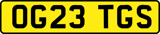 OG23TGS