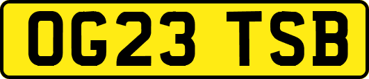 OG23TSB