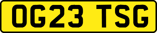 OG23TSG