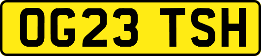 OG23TSH
