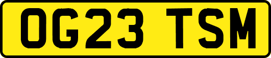 OG23TSM