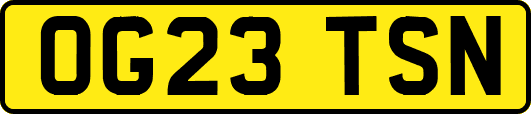 OG23TSN