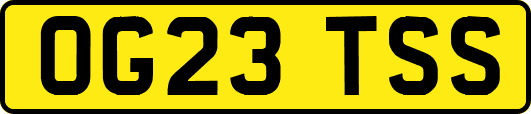 OG23TSS