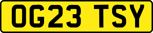 OG23TSY