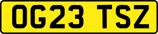 OG23TSZ