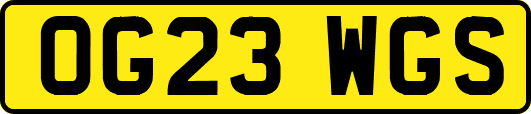 OG23WGS