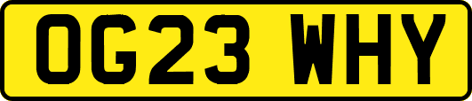 OG23WHY