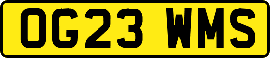 OG23WMS