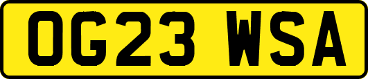 OG23WSA