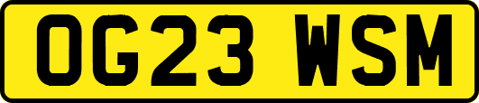 OG23WSM