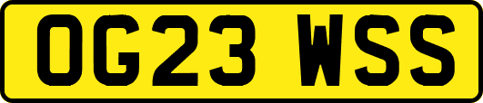 OG23WSS