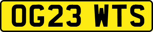 OG23WTS