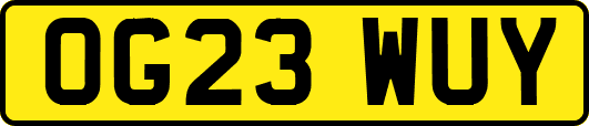 OG23WUY