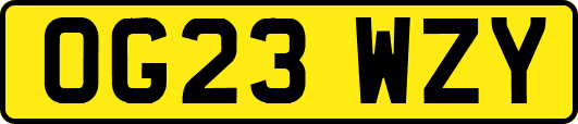 OG23WZY