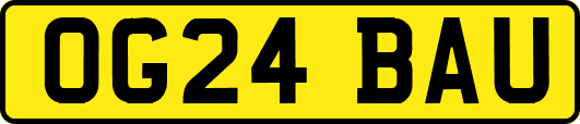 OG24BAU