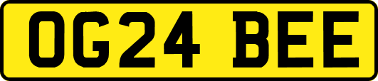 OG24BEE