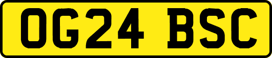 OG24BSC