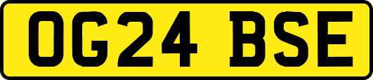 OG24BSE