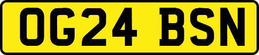 OG24BSN