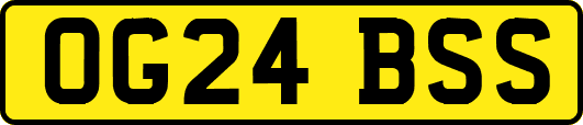 OG24BSS