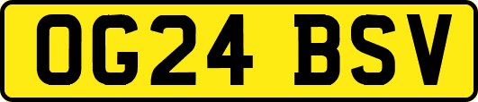 OG24BSV