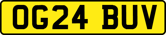 OG24BUV