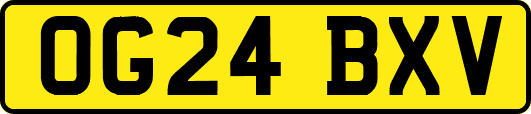 OG24BXV